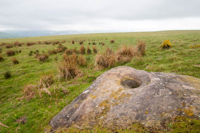 hike-run-bike-in-northern-england-the-durham-cow