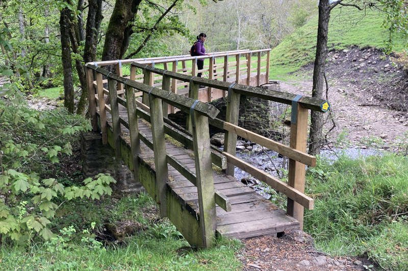 White Kirkley Footbridge (Bollihope Burn)